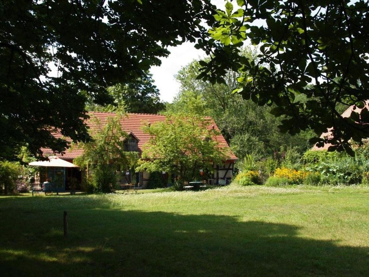 Ferienwohnung Am Roten Schloss Glashutte  Exterior foto